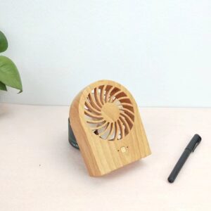 25149_Fan_01
